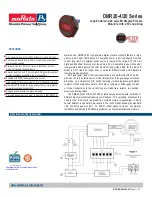 Murata DMR20-4/20 Series Manual предпросмотр