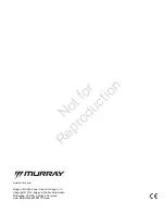 Preview for 104 page of Murray 1695797 Operator'S Manual