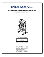 Murzan PI-50 Operation & Service Manual preview