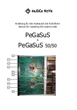 Preview for 1 page of Musica Nova PeGaSuS 50/50 Manual For Replacing The Output Tubes