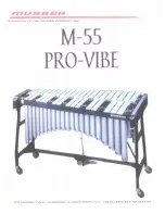 Preview for 1 page of Musser M-55 PRO-VIBE User Manual