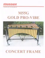 Предварительный просмотр 1 страницы Musser M55G Gold Pro-Vibe User Manual