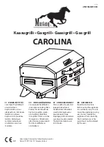 Mustang 250156 Instructions Manual preview