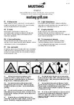 Предварительный просмотр 1 страницы Mustang 316212 Manual