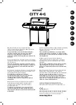 Mustang CITY 4+1 Manual preview