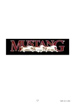 Preview for 17 page of Mustang MPF-S11V Instruction Manual