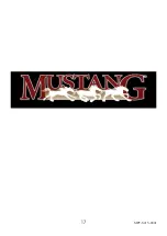 Preview for 17 page of Mustang MPF-S21V Instruction Manual