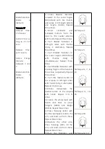 Предварительный просмотр 40 страницы mychway MS-5406 User Manual