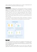 Preview for 8 page of mychway SM-7005N User Manual