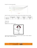 Предварительный просмотр 29 страницы Mygale M14-F4 FORD User Manual