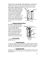 Предварительный просмотр 43 страницы Myron L MLJ-PS6SI Operation Manual