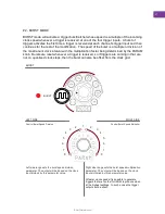 Preview for 21 page of MYSTIC Circuits IDUM Manual