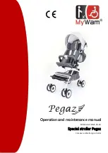 MyWam Pegaz Operation And Maintenance Manual предпросмотр