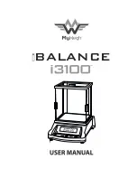 MyWeigh iBalance i3100 User Manual preview
