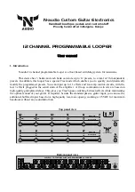 N-audio 12 CHANNEL PROGRAMMABLE LOOPER User Manual preview