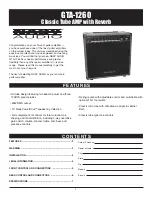 Preview for 2 page of Nady Audio GTA-1260 Owner'S Manual