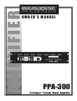 Nady Audio PPA-300 Owner'S Manual предпросмотр