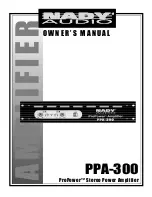 Предварительный просмотр 1 страницы Nady Audio ProPower PPA-300 Owner'S Manual