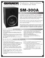 Nady Audio SM300A Instruction Sheet preview