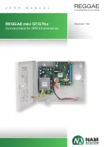 Предварительный просмотр 1 страницы NAM system REGGAE Mini GT User Manual