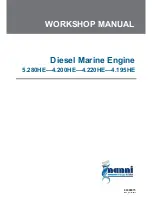 Nanni 5.280HE Workshop Manual preview