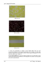 Preview for 124 page of NanoEnTek JuLi Stage User Manual