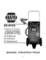 Предварительный просмотр 19 страницы Napa 85-8100 Instruction Manual