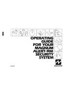 Preview for 1 page of NAPCO MAGNUM ALERT 900 SYSTEM Manual