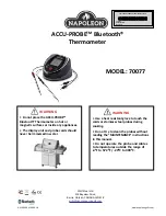 Napoleon ACCU-PROBE 70077 Manual preview