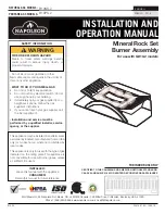 Napoleon B19NS-2 Installation And Operation Manual preview