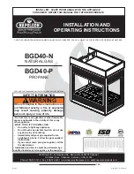 Napoleon BGD40-N Installation And Operating Instructions Manual preview