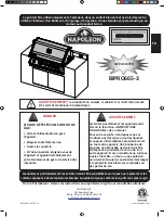 Предварительный просмотр 29 страницы Napoleon BIPRO665RBPSS-3 Manual