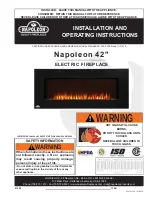 Napoleon EFL42 Installation And Operating Instructions Manual preview