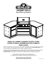 Napoleon Gas Grill Assembly Instructions Manual preview