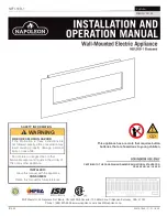 Napoleon NEFL B-1 Installation And Operation Manual preview