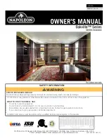 Napoleon Oakville GDI3EA Owner'S Manual preview