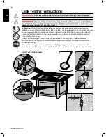 Предварительный просмотр 10 страницы Napoleon PATIOFLAME GPFR40 Manual