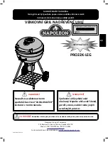 Preview for 25 page of Napoleon PRO22-LEG-2 Assembly, Use And Care Manual