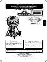 Preview for 37 page of Napoleon PRO22-LEG-2 Assembly, Use And Care Manual