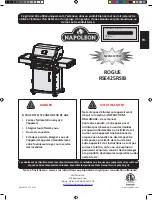 Предварительный просмотр 19 страницы Napoleon ROGUE RSE425RSIB-1 Manual