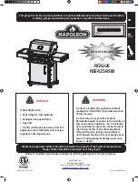 Napoleon ROGUE RSE425RSIBSS Manual предпросмотр