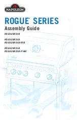 Napoleon RSE525RSIB-MB Assembly Manual preview