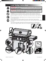 Preview for 41 page of Napoleon RSE625RSIB User Manual