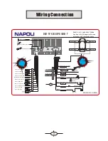 Preview for 10 page of NAPOLI ELECTRONICS DVD-TV 6250 GPS ISDB-T Manual