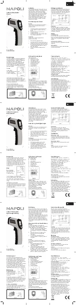 Preview for 2 page of Napoli 785-031 Instruction Manual