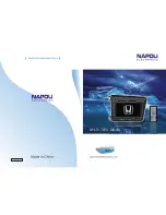 Preview for 1 page of Napoli NPL-TV 7874 DIGITAL Instruction Manual