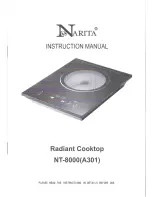 Narita NT-8000 A301 Instruction Manual предпросмотр