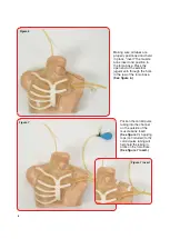 Preview for 6 page of Nasco Lifeform LF01087U Instruction Manual