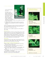 Preview for 3 page of Navitar ZFL Brochure