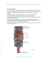 Preview for 28 page of nbs 150-CTDL-31.5-FX Installation, Operation And Maintenance Manual